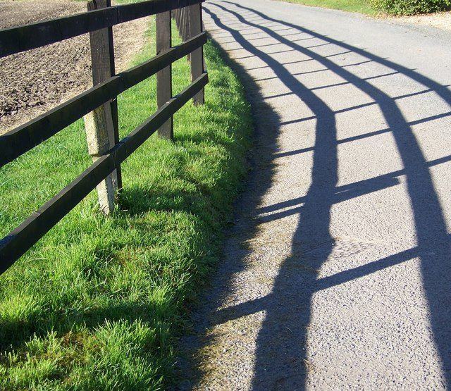 A post-and-rail fence running along a lane, its posts evenly spaced